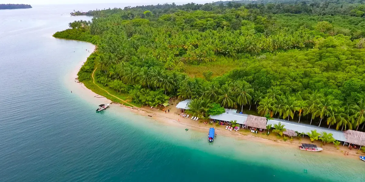 Aerial view of Starfish Beach and its palm-lined Caribbean shoreline in Bocas del Toro
