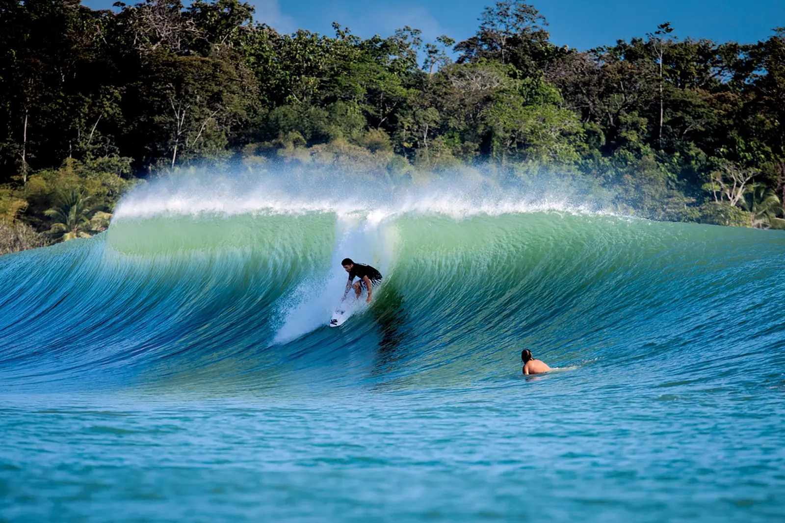 Surfer riding a clean tropical wave at Paunch on Isla Colón in Bocas del Toro