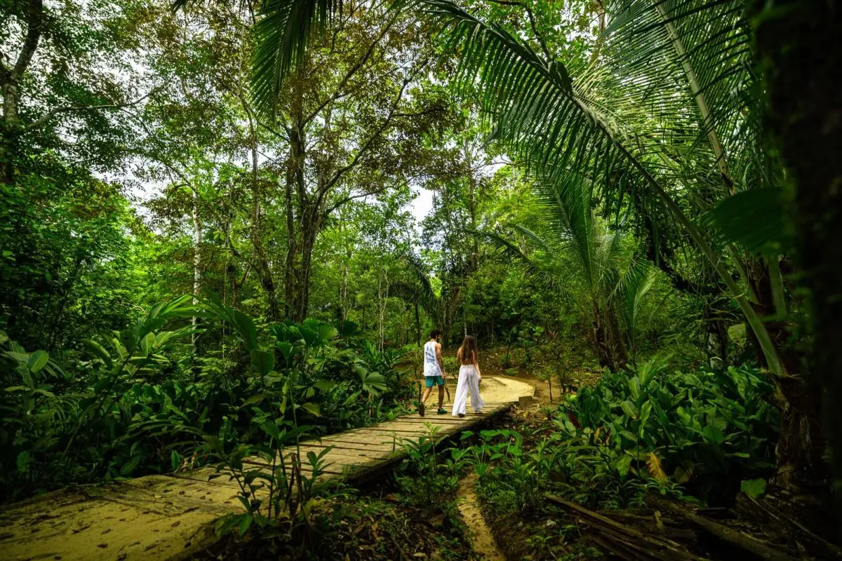 Travelers walking along a wooden path through lush tropical jungle in Bocas del Toro
