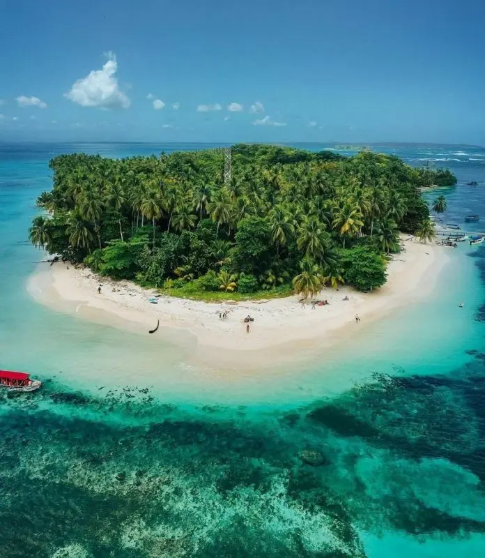 Aerial view of a palm-covered Zapatillas island surrounded by turquoise Caribbean water in Bocas del Toro